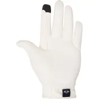 Hv Polo Handschoenen Hvpdaily Wit - L
