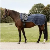 Waldhausen Vliegendeken voor paarden Economic