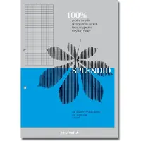 Aurora Splendid Schrijfblok A4 Geruit 5 x5 mm Gelijmd Papier Grijs Geperforeerd Recycled 200 Pagina's