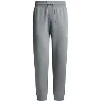 Red Bull Racing Broek grijs