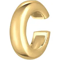 Elli Oorbellen goud