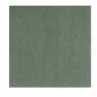 Blomus Servet Lineo Duck Green-42 x 42 cm