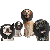 SmartaSaker Pro Collar