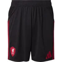 Adidas Sportbroek 'Liverpool FC 25/26' rood / zwart