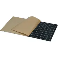 PestWest Lijmplaat Chameleon 6 stuks
