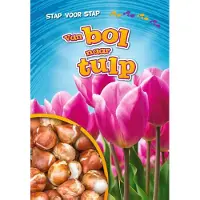 CORONA Van bol naar tulp (Hardback)