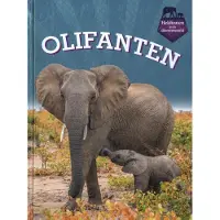 CORONA Olifanten (Hardback)