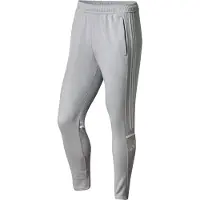 Adidas Sportbroek 'Squadra 25' lichtgrijs / wit