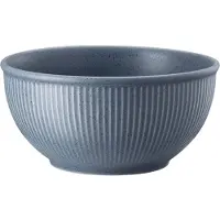 Rosenthal Thomas Clay mueslikom 70 cl Blauw