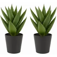 Greenlux GreenLuxe Kunstplanten Set van 2 – Grote Kunstplant in Pot – 30 cm – Realistische Nepplanten voor Huis, Kantoor & Balkon Decoratie