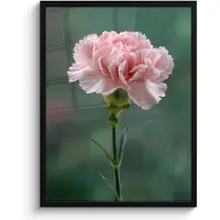PosterMonkey Poster in lijst - Fotolijst 60x80 cm - Posters - Anjer - Roze - Bloemblaadjes - Posterlijst zwart - Decoratie - Wanddecoratie woonkamer - Muurdecoratie slaapkamer