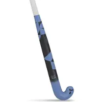 Y1 ADB X.2 Hockeystick