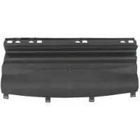 BLIC 6502-07-5724970P Ventilatiegrille, bumper