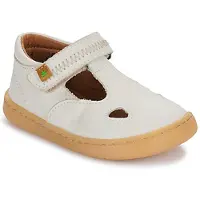El naturalista Ballerina's 5341 kind 26