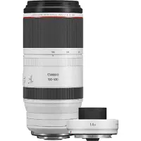 Canon RF 100-500mm F/4.5-7.1L IS USM + Extender RF 1.4x
