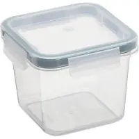 PLAST TEAM Vertriebs GmbH Plastic bewaardoos , 2,5 liter, groen.