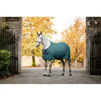 Horseware Rambo Techni Waffle Cooler 205 Dynasty Green