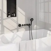 Brauer Stripe inbouw badkraan met 3 standen handdouche zwart mat