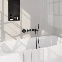 Brauer Stripe inbouw badkraan met staafhanddouche zwart mat