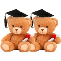 Keel Toys Pakket van 24x stuks pluche geslaagd knuffel beertjes 14 cm