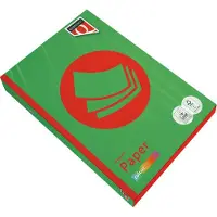 Quantore Kopieerpapier colour a4 120gr grasgroen