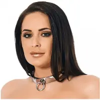 Rimba - Slaven collar RVS Met Inbus schroef