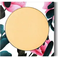 PHB Make-Up Mineral Highlighter 9gr