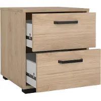 Ebuy24 Sofia nachtkastje 2 lades eikdecor.