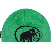 Mammut - Tweak Beanie - Muts One Size, groen