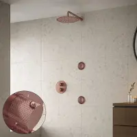 Saniclear Copper Curved inbouw regendouche 30cm met ronde massagejets en muurarm geborsteld koper