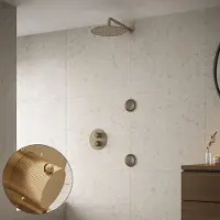 Saniclear Brass Stripes inbouw regendouche 30cm met ronde massagejets en muurarm geborsteld messing - mat goud
