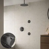 Saniclear Iron Stripes inbouw regendouche 30cm met ronde massagejets en plafondarm verouderd ijzer - gunmetal