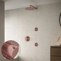 Saniclear Copper Stripes inbouw regendouche 20cm met ronde massagejets en muurarm geborsteld koper