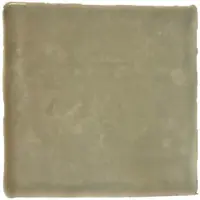 Terre d'Azur Porto wandtegel 10x10cm grijsgroen - 100 stuks per doos