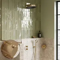 Saniclear Evolution Curved inbouw regendouche rond met 2 standen handdouche geborsteld messing - mat goud