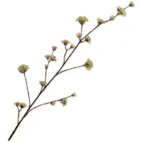 Silk-ka Kunstbloem-Zijde Bloemen Dogwood tak Creme-Groen 122 cm