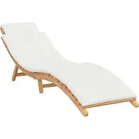 vidaXL Tuin ligstoel Bruin 198 x 55 x 58,5 cm Massief Teakhout