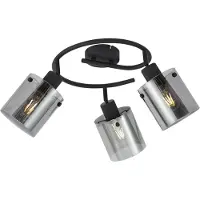 QAZQA Design plafondspot zwart met smoke glas rond 3-lichts - Domo