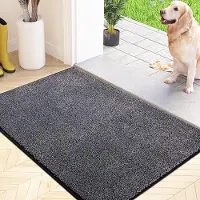 Karma Anti-stof en anti-slip deurmat van 50 x 80 cm, wasbaar in de wasmachine, entreemat van absorberende zachte microvezel voor hond, entree, deur en hal