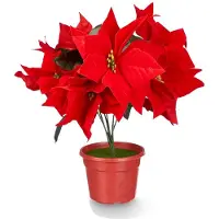 Krist+ Kunstplant Kerstster - Poinsettia - rood - H30 cm - nepplant - kerstplant - kamerplant