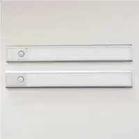 Sunmatic 30 Cm Led-schijnwerper Met Bewegingssensor 2 Eenheden
