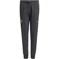 Adidas Broek 'Manchester United Terrace Icons' goudgeel / zwart