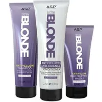 ASP System Blonde Rescue Kit Anti-Yellow