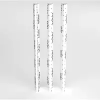 Silva Scale slide kit, 3 dia's, Lineaal