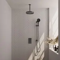 Brauer Stripe inbouw regendouche met 25cm hoofddouche, met plafondarm, glijstang en 3 standen handdouche set 24 gunmetal geborsteld PVD