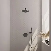 Brauer Stripe inbouw regendouche rond met 25cm hoofddouche, rechte muurarm en staafhanddouche set 37 gunmetal geborsteld PVD