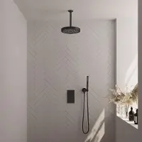 Brauer Stripe inbouw regendouche met 25cm hoofddouche, plafondarm en staafhanddouche set 15 zwart mat