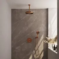 Brauer Stripe inbouw regendouche rond met 25cm hoofddouche, plafondarm en 3 standen handdouche set 42 koper geborsteld PVD