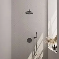 Brauer Stripe inbouw regendouche rond met 25cm hoofddouche, gebogen muurarm en staafhanddouche set 38 gunmetal geborsteld PVD