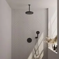 Brauer Stripe inbouw regendouche rond met 25cm hoofddouche, plafondarm en 3 standen handdouche set 42 zwart mat